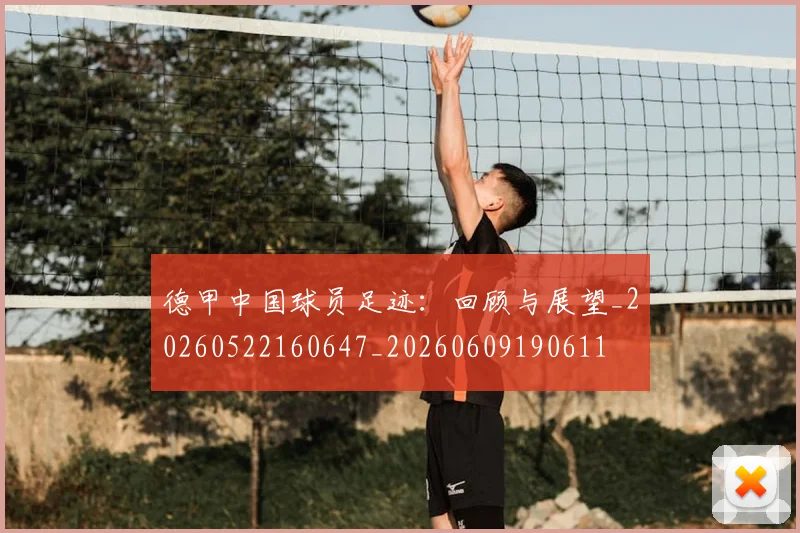 德甲中国球员足迹：回顾与展望_20260522160647_20260609190611